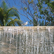 Picture 051